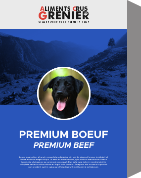 Hypoallergenic Complete Raw Premium Beef Recipe